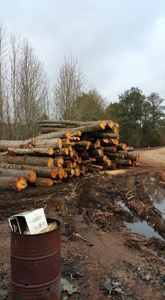 Seasoned Firewood