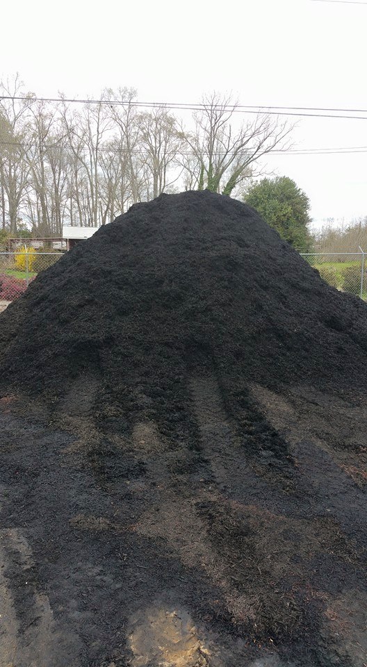 black mulch