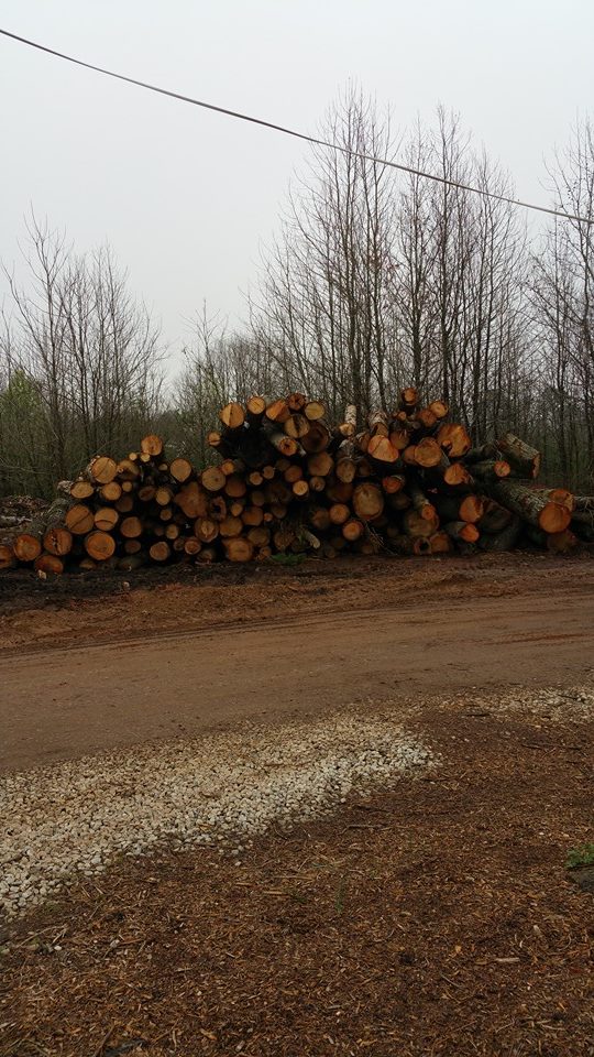 firewood stacked