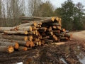 Seasoned Firewood