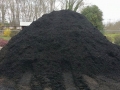 black mulch cropped