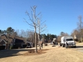 emergency tree service