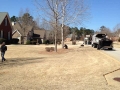 residential tree service