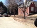 tree pruning
