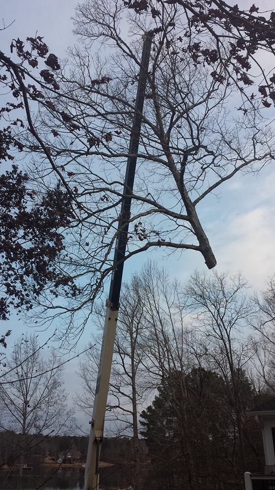 storm damage repair