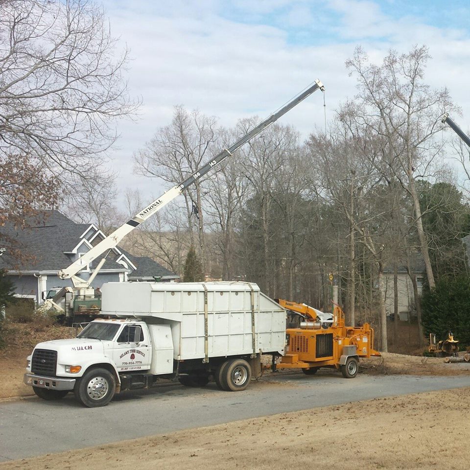 crane service