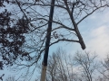 storm damage repair