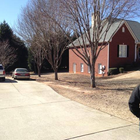 tree pruning